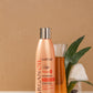 Argan Shampoo for Nourishment